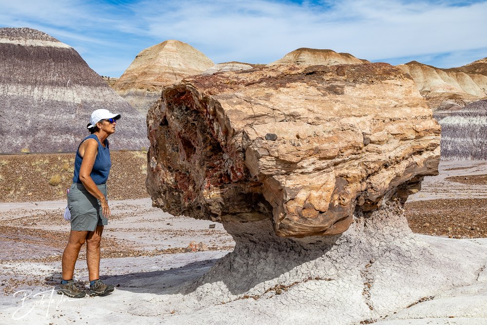 20241027-20241027-Blue Mesa -29-2.jpg