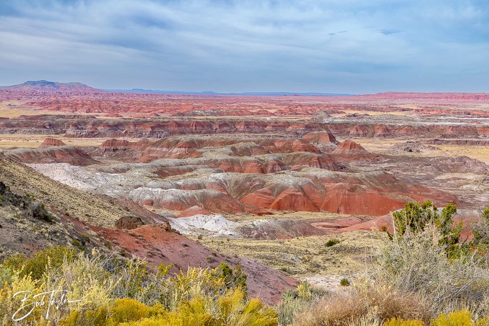 20241027-Painted Desert Inn -31.jpg