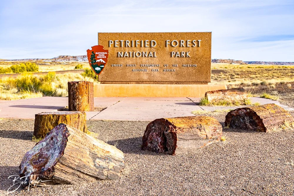 20241027-20241027-Petrified Forest -5-2.jpg