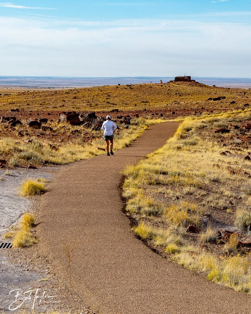 20241027-Petrified Forest -18.jpg