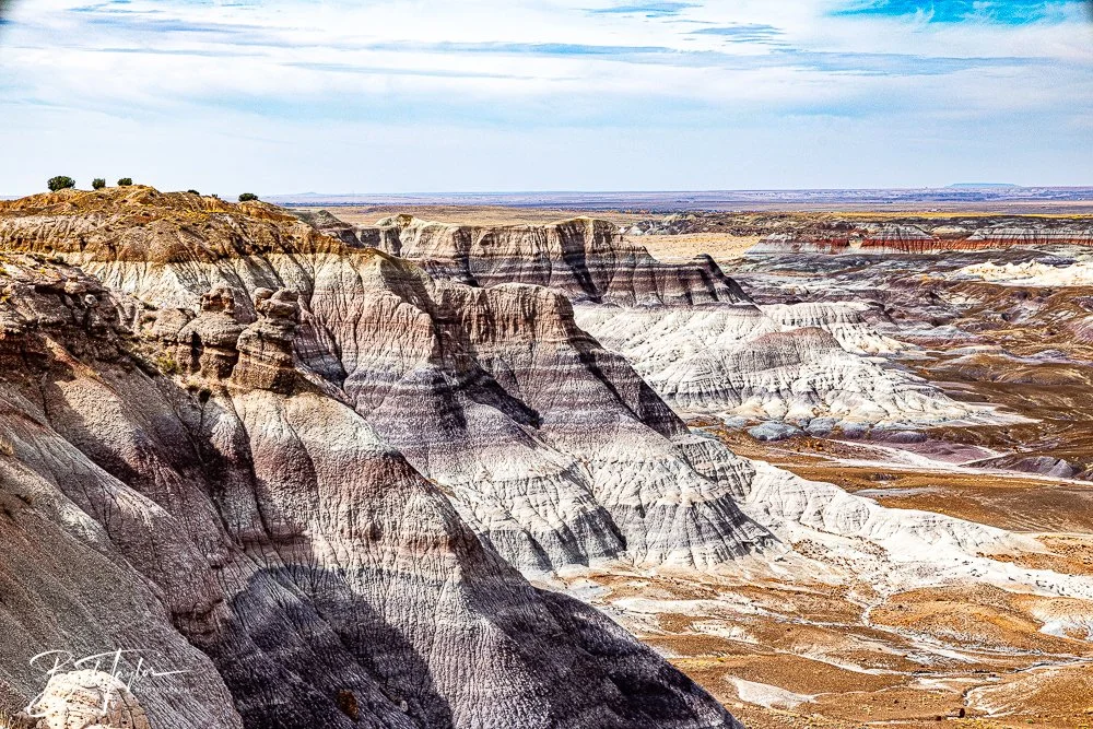 20241027-Blue Mesa -20.jpg