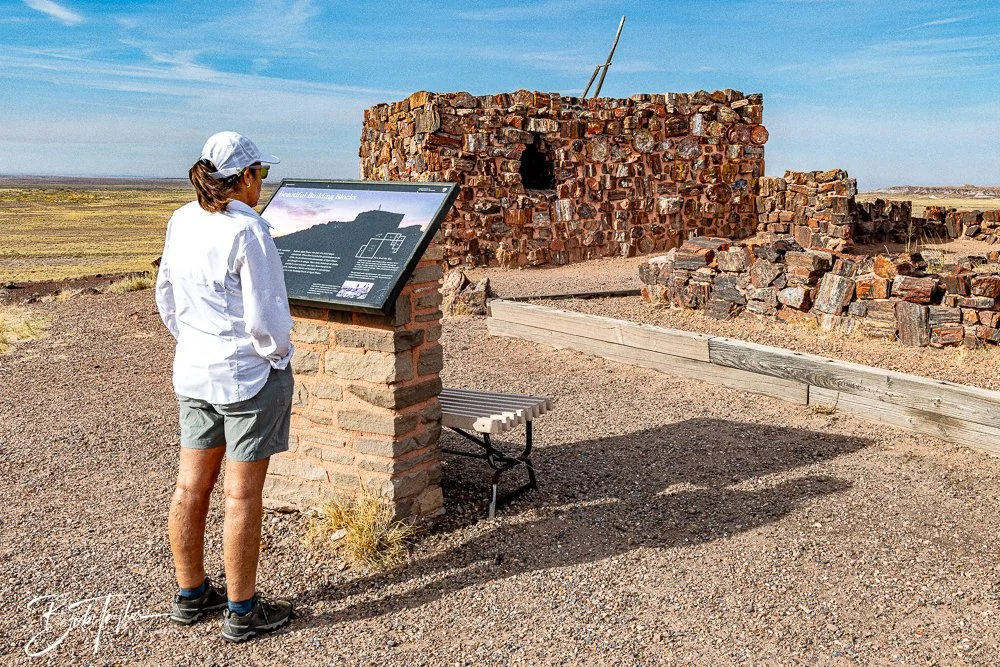 20241027-20241027-Petrified Forest -26-2.jpg