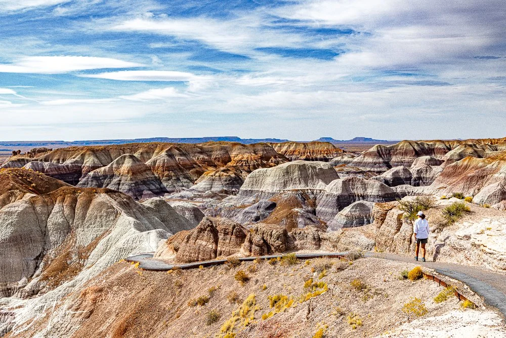 20241027-20241027-Blue Mesa -21-2.jpg