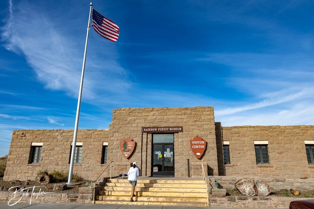 20241027-20241027-Petrified Forest -6-2.jpg