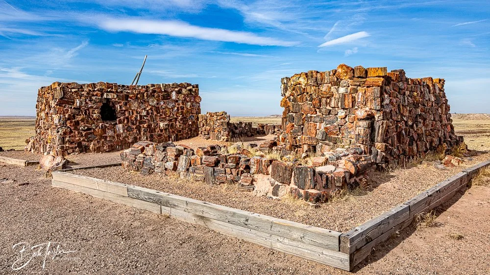 20241027-Petrified Forest -21.jpg