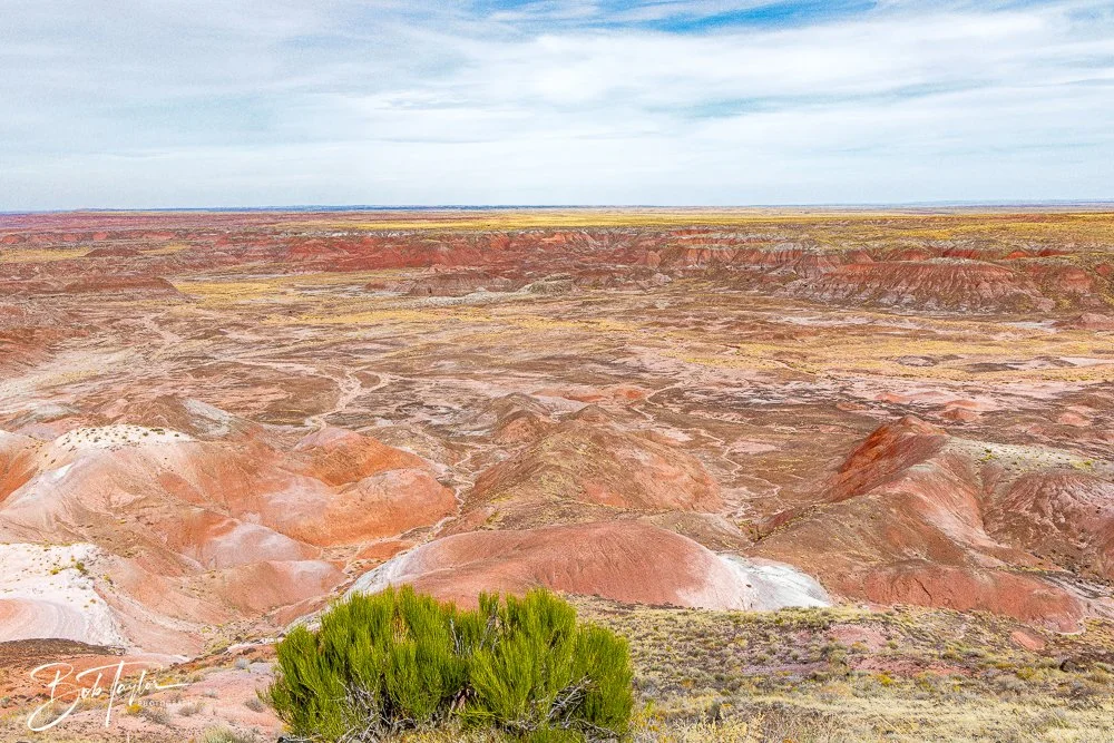 20241027-Painted Desert Inn -37.jpg
