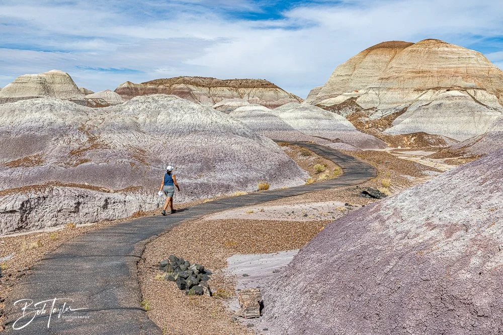 20241027-20241027-Blue Mesa -30-2.jpg