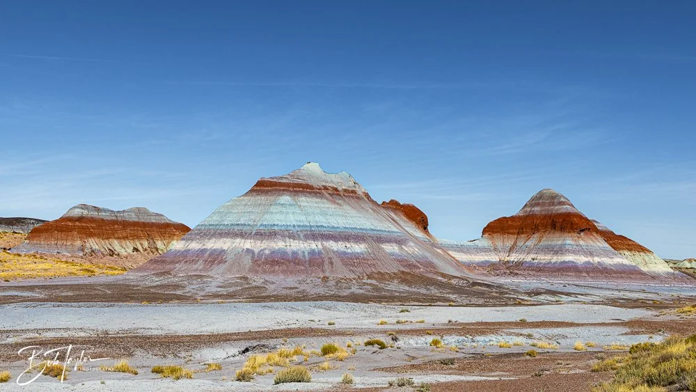 20241026-Blue Mesa -9.jpg