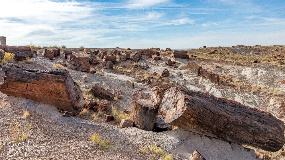 20241027-20241027-Petrified Forest -39-2.jpg