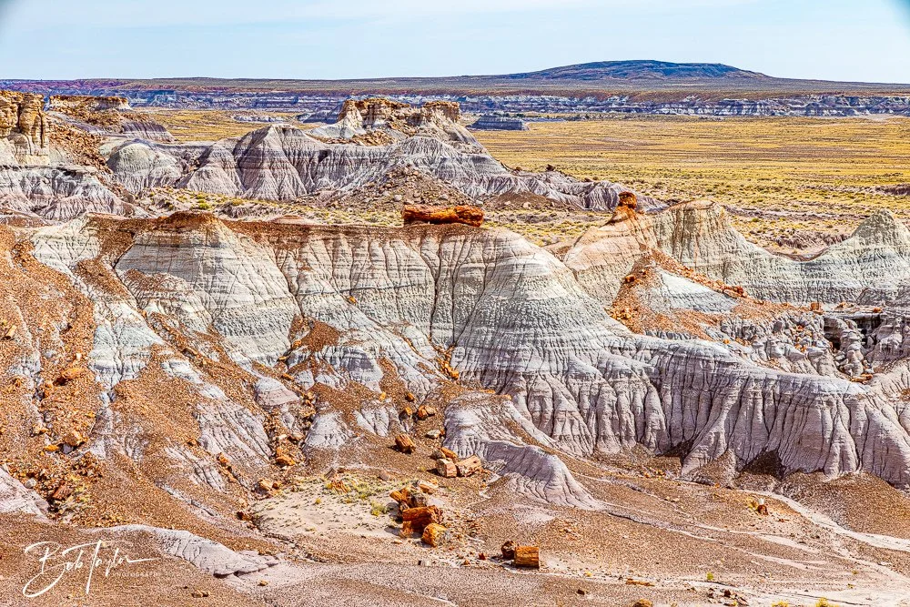 20241027-Blue Mesa -18.jpg