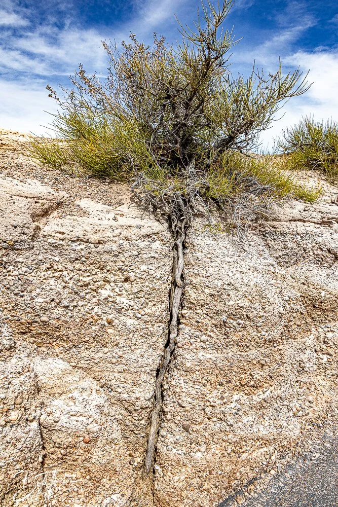 20241027-20241027-Blue Mesa -31-2.jpg