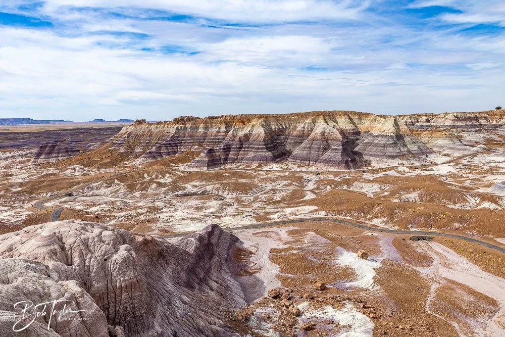 20241027-20241027-Blue Mesa -33-2.jpg