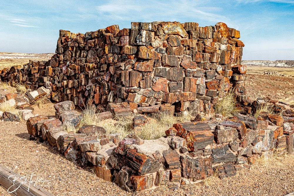 20241027-Petrified Forest -23.jpg