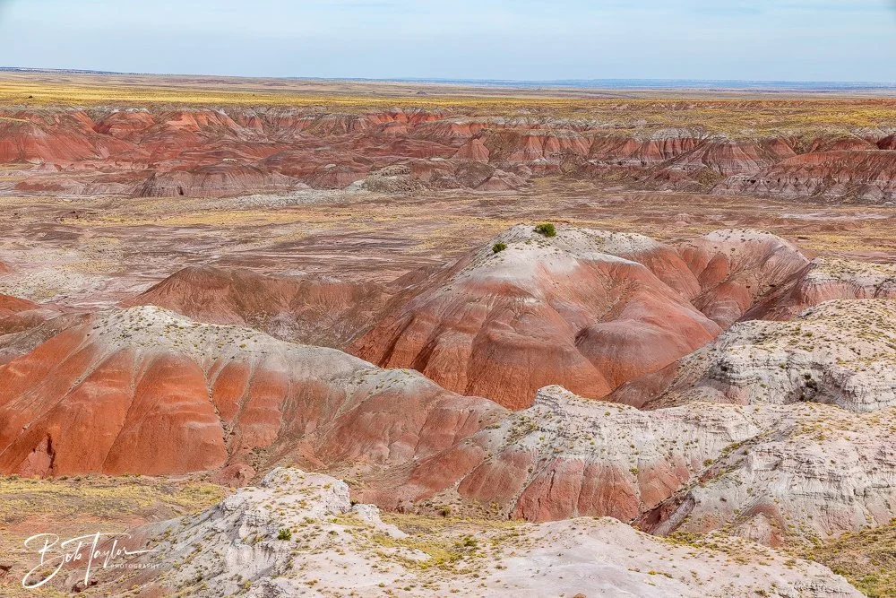 20241027-20241027-Painted Desert Inn -33-2.jpg