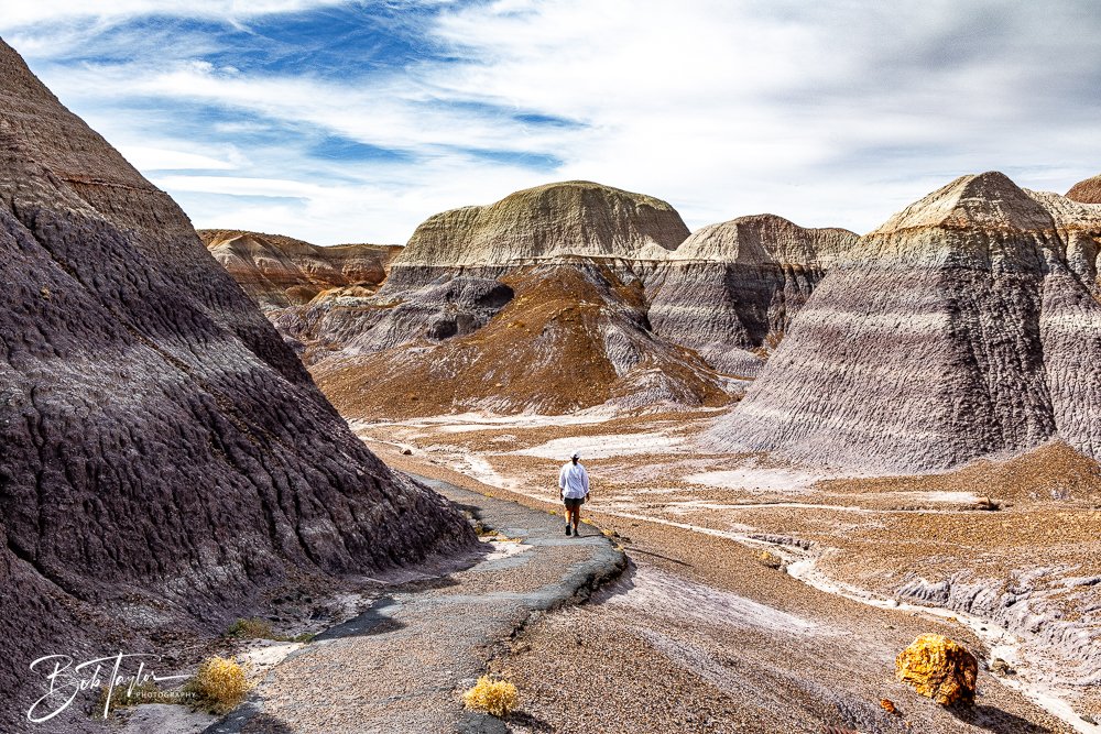 20241027-20241027-Blue Mesa -23-2.jpg