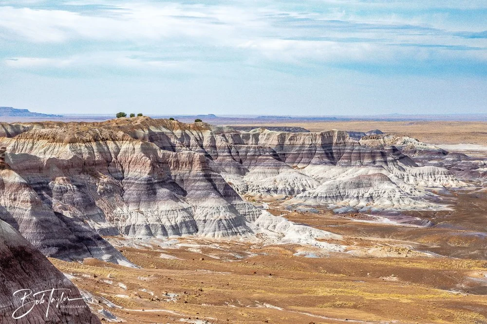 20241027-20241027-Blue Mesa -19-2.jpg