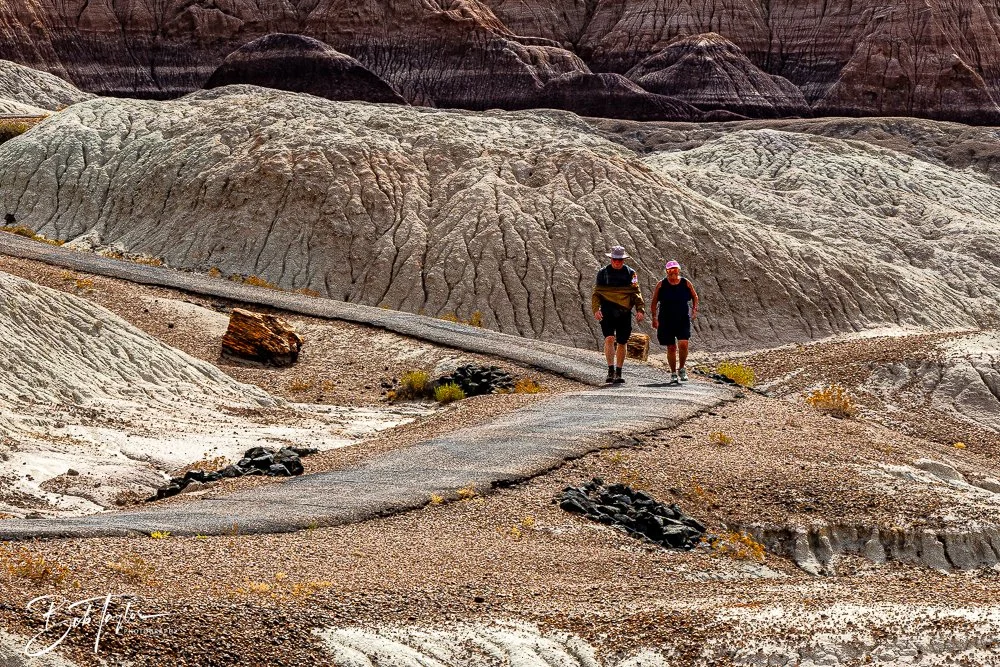 20241027-20241027-Blue Mesa -25-2.jpg