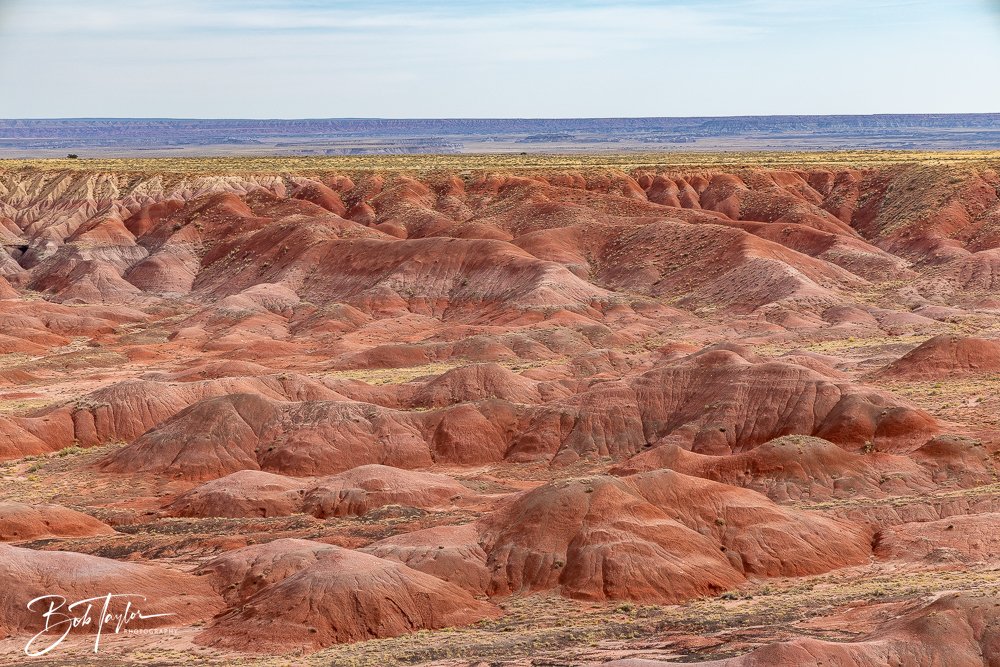 20241027-Painted Desert Inn -40.jpg