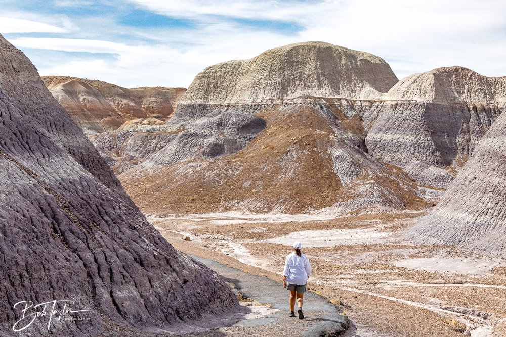 20241027-20241027-Blue Mesa -22-2.jpg