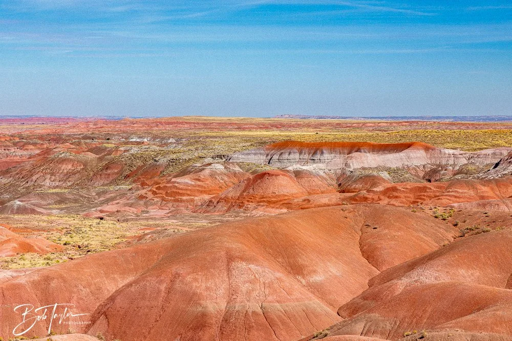 20241026-20241026-Blue Mesa -4-2.jpg