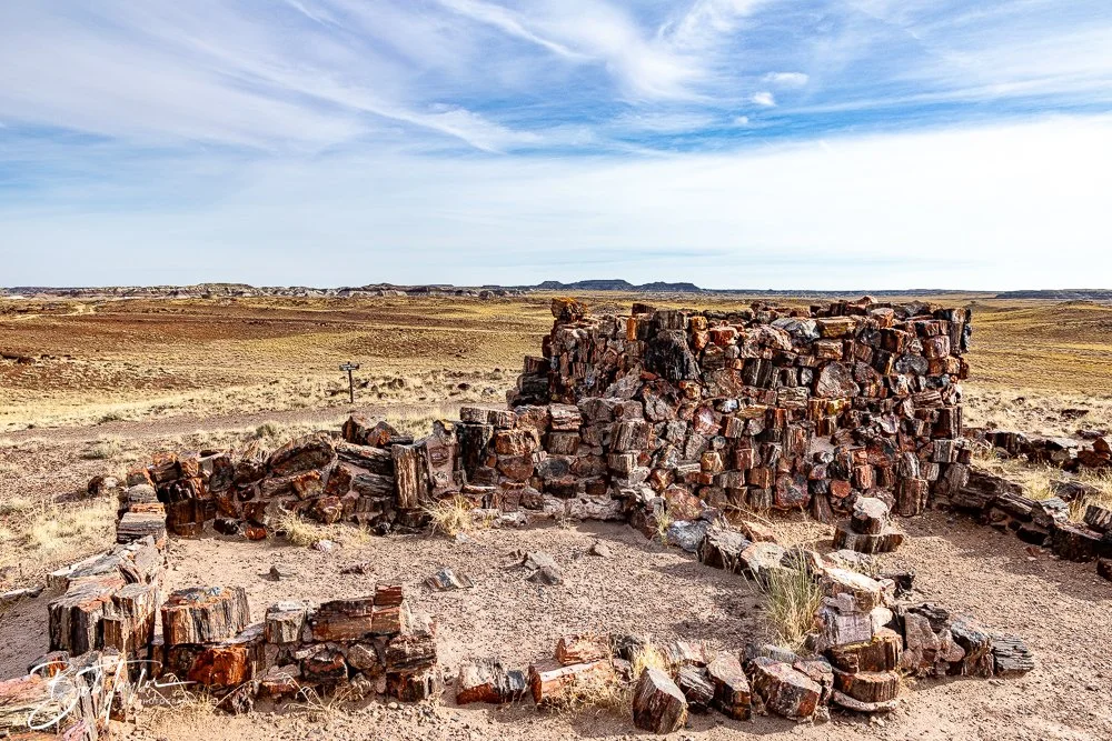 20241027-Petrified Forest -27.jpg