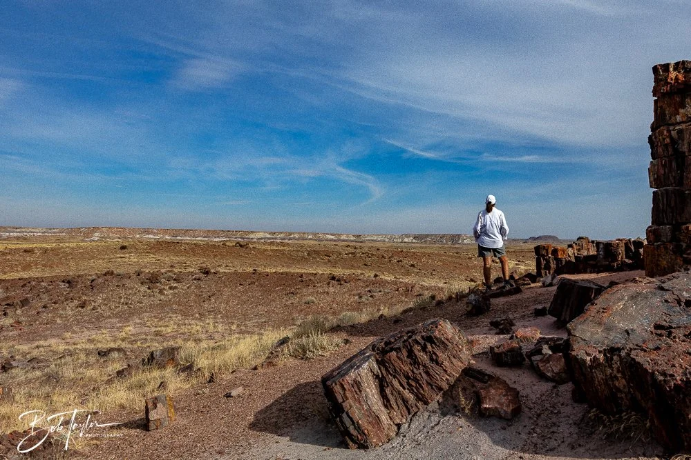 20241027-20241027-Petrified Forest -32-2.jpg
