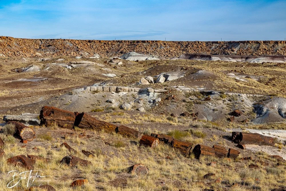 20241027-20241027-Petrified Forest -11-2.jpg
