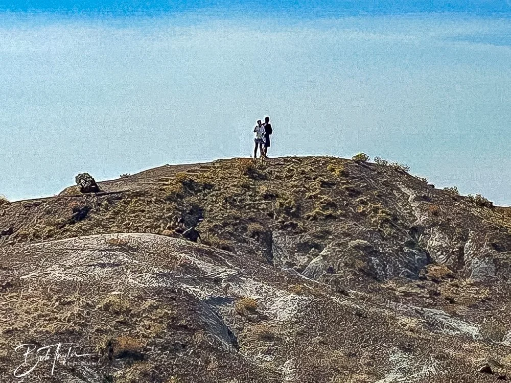 20241027-20241027-Petrified Forest -7-2.jpg