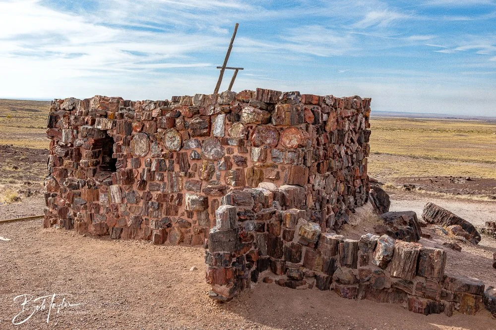 20241027-20241027-Petrified Forest -28-2.jpg
