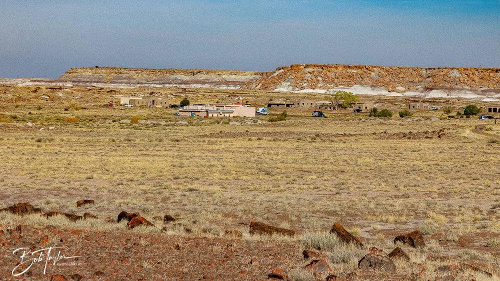 20241027-Petrified Forest -15.jpg