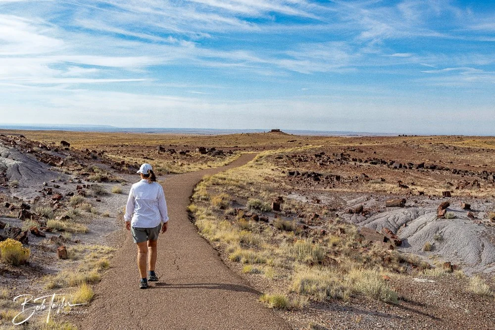 20241027-20241027-Petrified Forest -16-2.jpg