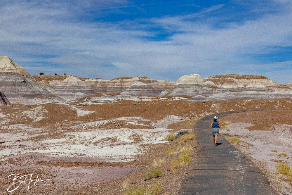 20241027-20241027-Blue Mesa -28-2.jpg