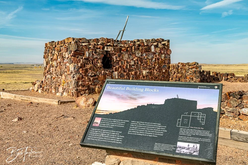 20241027-20241027-Petrified Forest -22-2.jpg