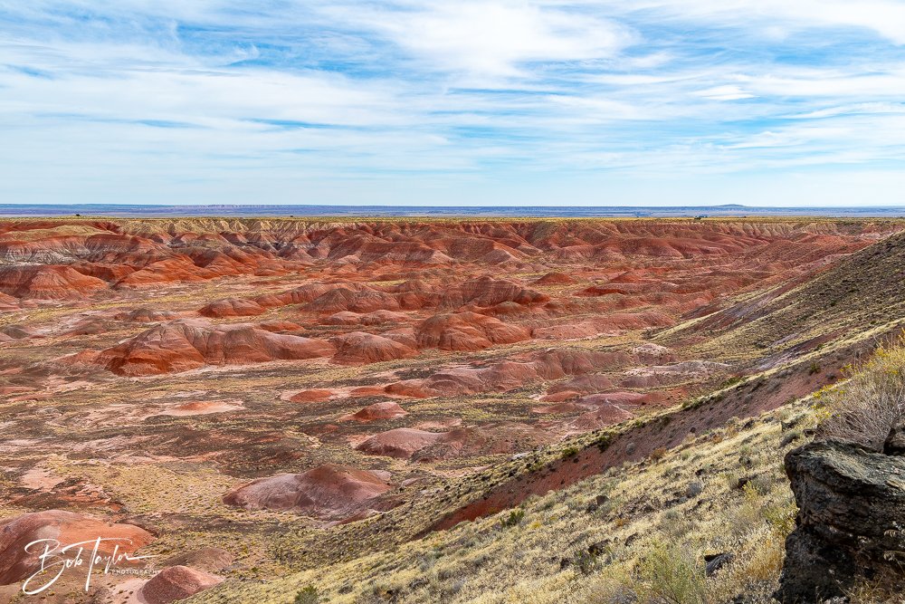 20241027-20241027-Painted Desert Inn -38-2.jpg