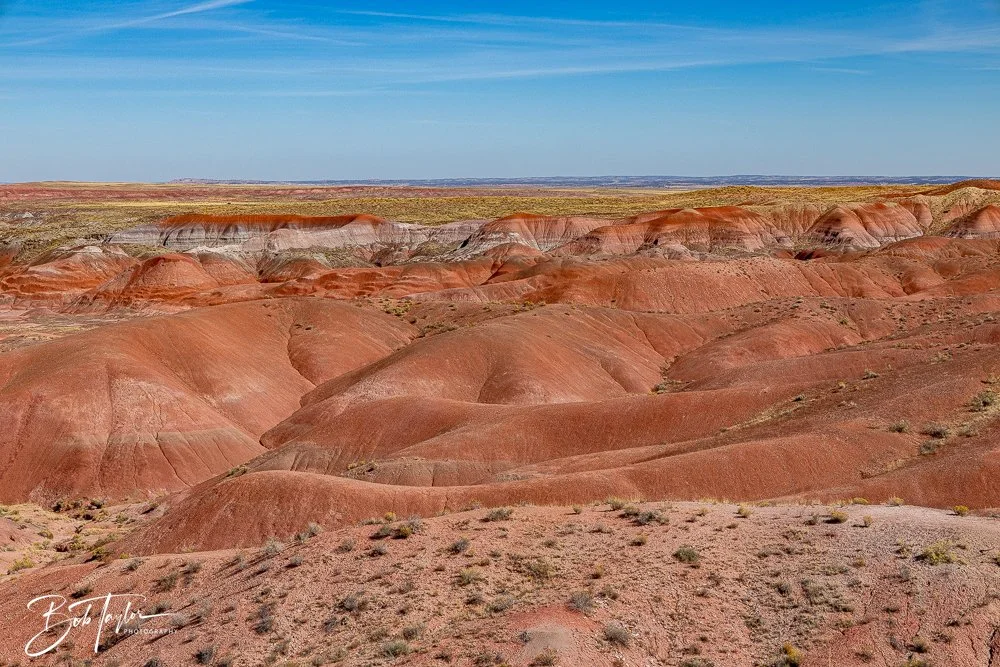20241026-20241026-Blue Mesa -2-2.jpg