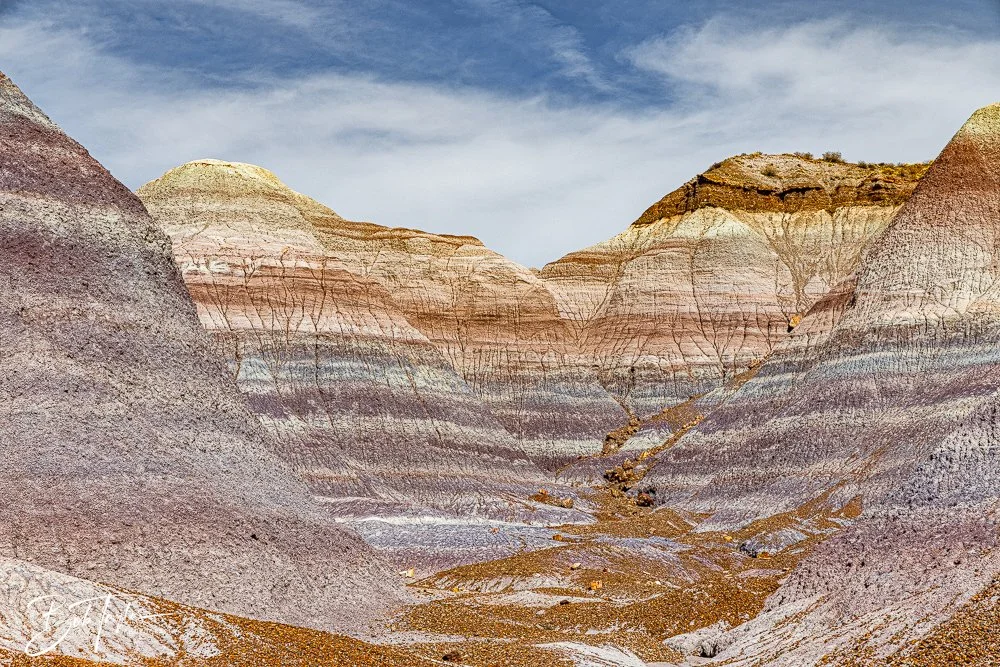 20241027-Blue Mesa -26.jpg