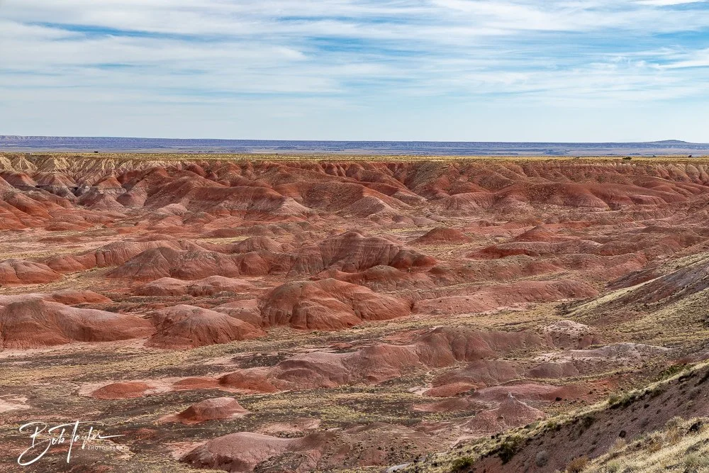 20241027-20241027-Painted Desert Inn -39-2.jpg