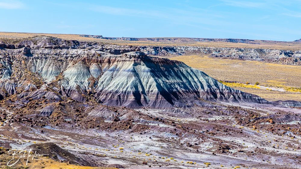 20241026-20241026-Blue Mesa -10-2.jpg