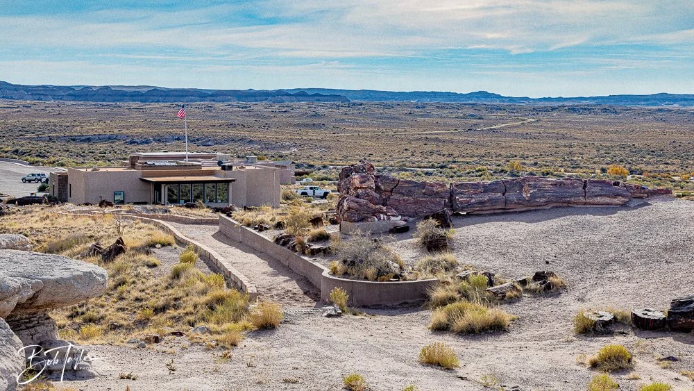 20241027-Petrified Forest -12.jpg