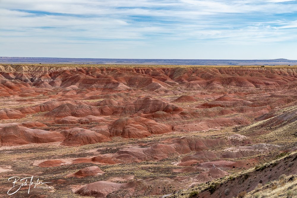 20241027-Painted Desert Inn -39.jpg