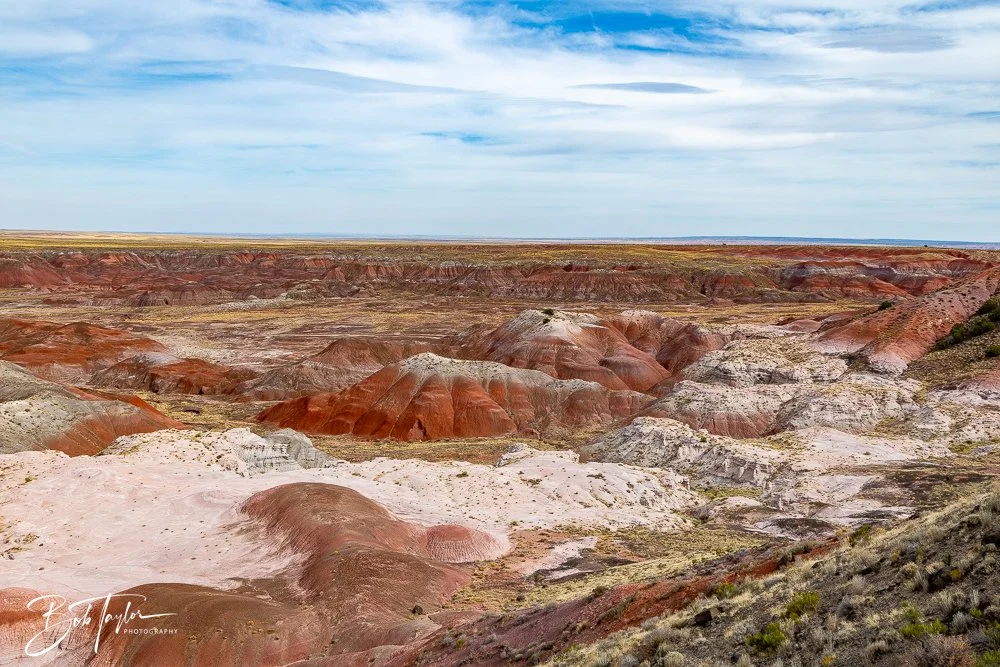20241027-20241027-Painted Desert Inn -32-2.jpg
