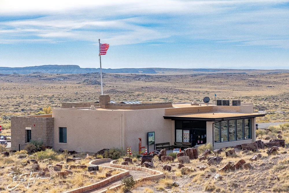 20241027-20241027-Petrified Forest -14-2.jpg