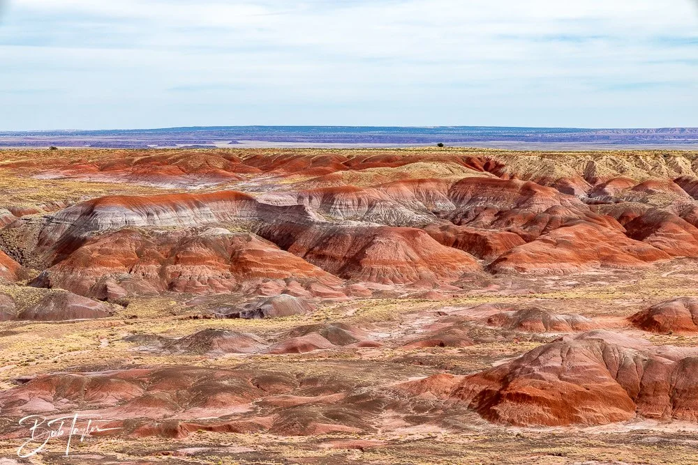 20241027-Painted Desert Inn -42.jpg