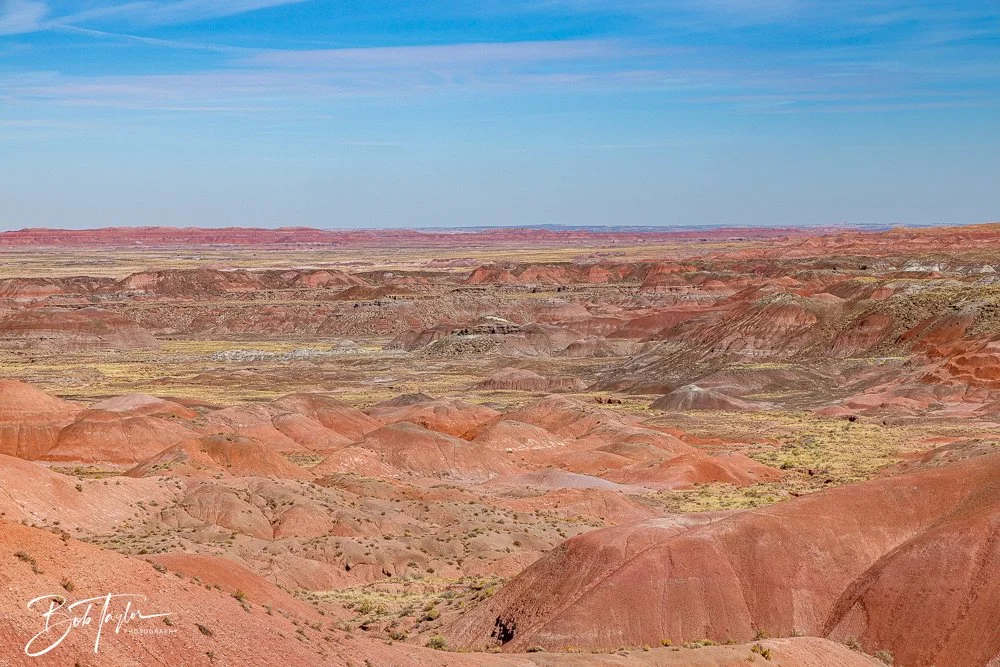 20241026-Blue Mesa -3.jpg