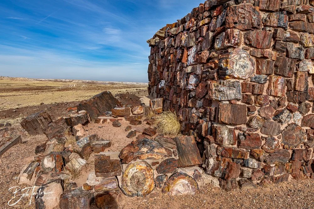 20241027-20241027-Petrified Forest -31-2.jpg