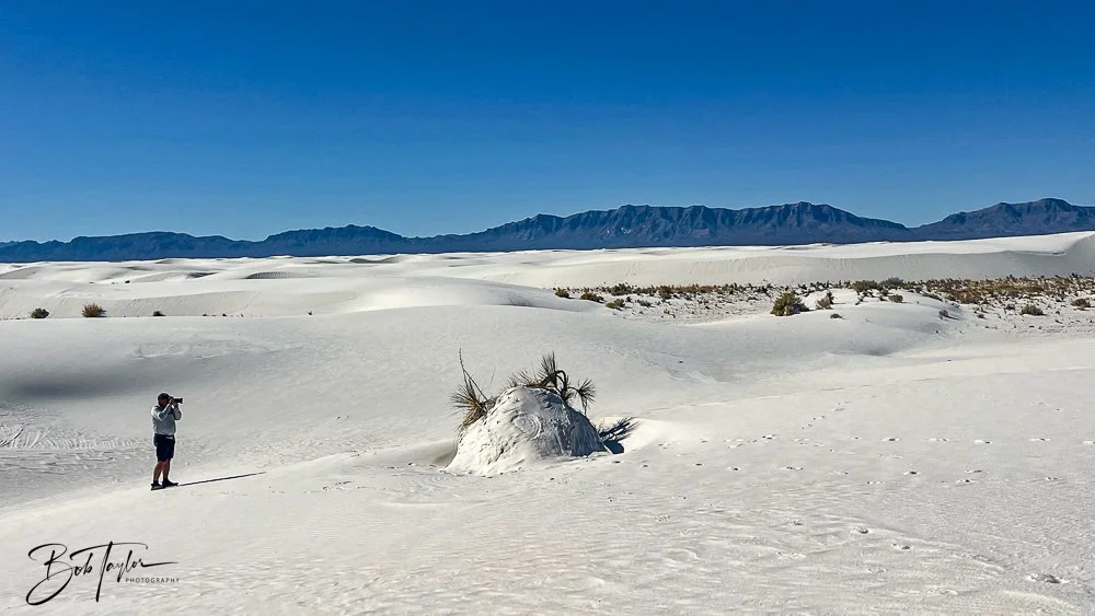 20241113-20241113-White Sands -3-2.jpg