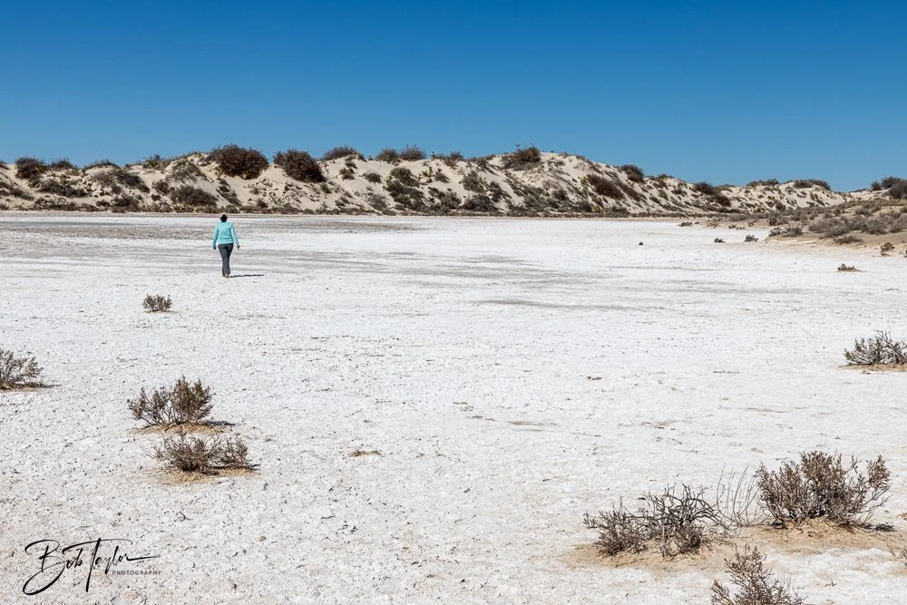 20241113-20241113-White Sands -43-2.jpg