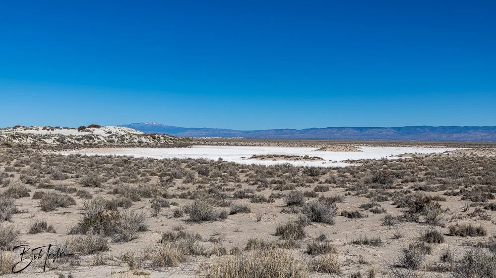 20241113-20241113-White Sands -46-2.jpg