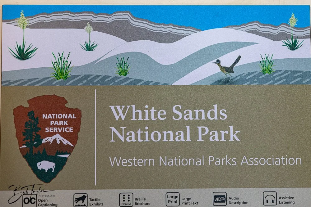 20241113-20241113-White Sands -9-2.jpg