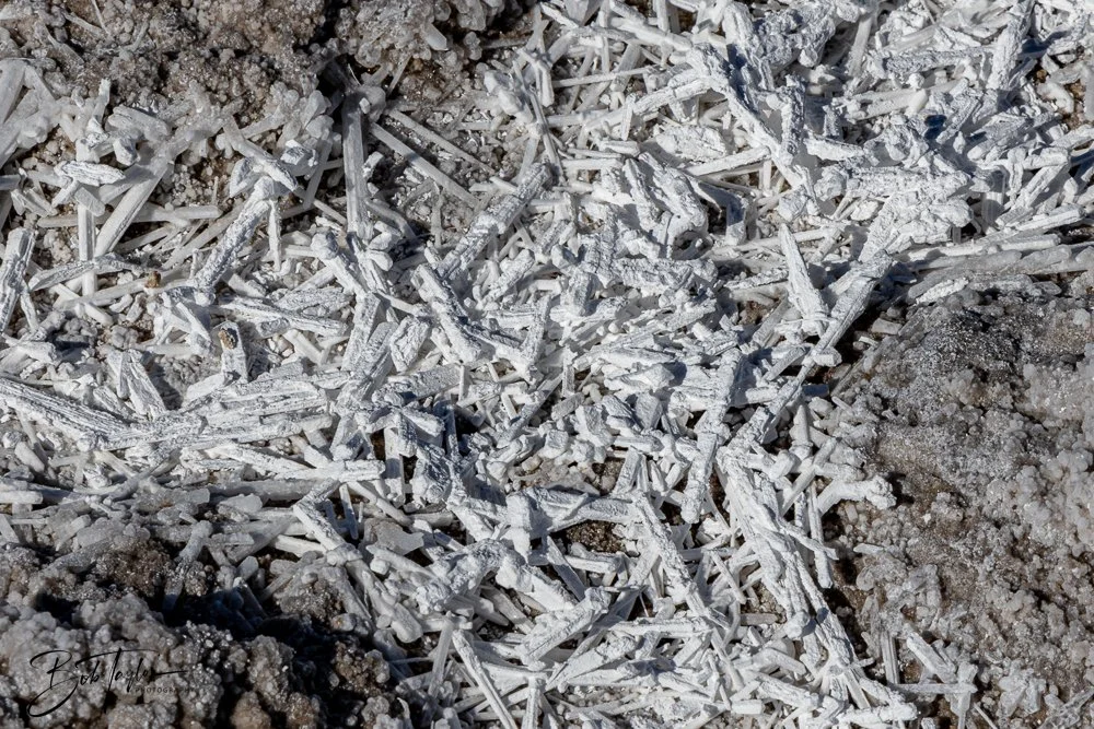 20241113-20241113-White Sands -45-2.jpg